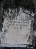 image of grave number 667511